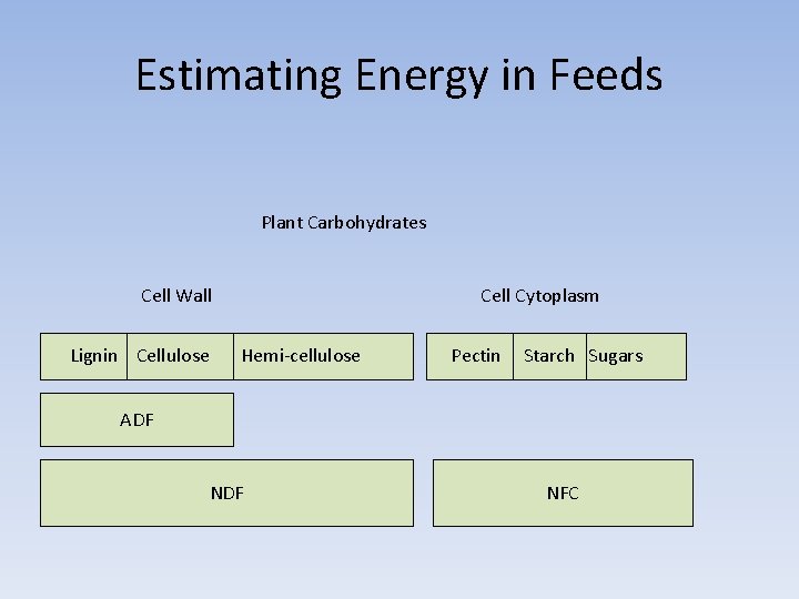 Estimating Energy in Feeds Plant Carbohydrates Cell Wall Lignin Cellulose Cell Cytoplasm Hemi-cellulose Pectin