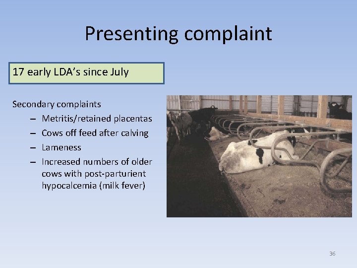 Presenting complaint 17 early LDA’s since July Secondary complaints – Metritis/retained placentas – Cows