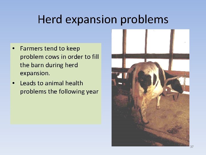 Herd expansion problems • Farmers tend to keep problem cows in order to fill