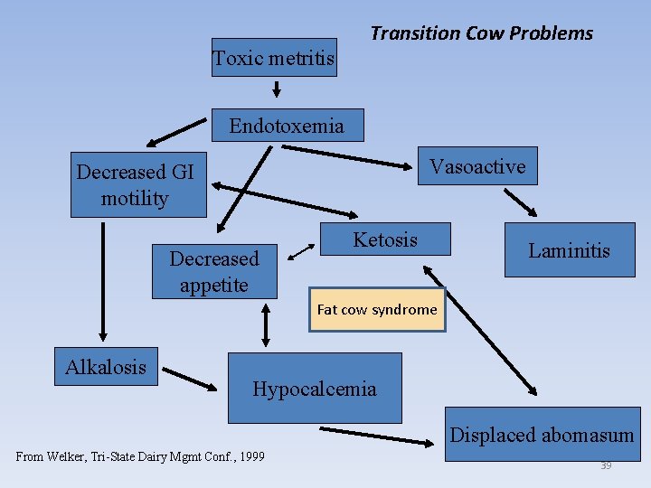 Toxic metritis Transition Cow Problems Endotoxemia Vasoactive Decreased GI motility Decreased appetite Ketosis Laminitis