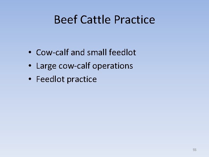 Beef Cattle Practice • Cow-calf and small feedlot • Large cow-calf operations • Feedlot