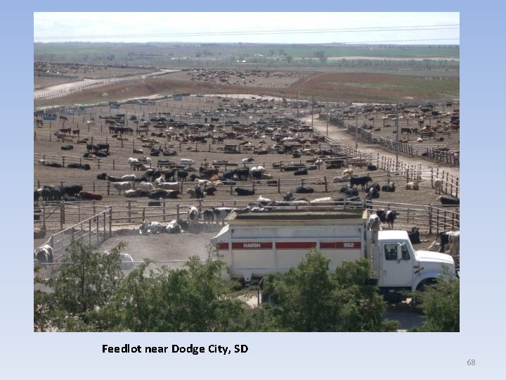 Feedlot near Dodge City, SD 68 