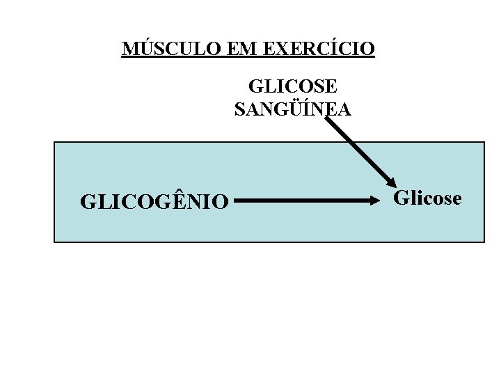 MÚSCULO EM EXERCÍCIO GLICOSE SANGÜÍNEA GLICOGÊNIO Glicose 