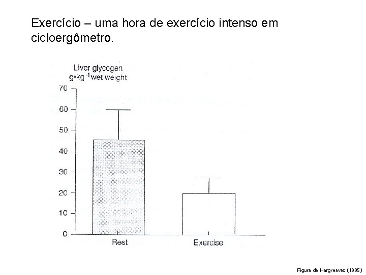 Exercício – uma hora de exercício intenso em cicloergômetro. Figura de Hargreaves (1995) 