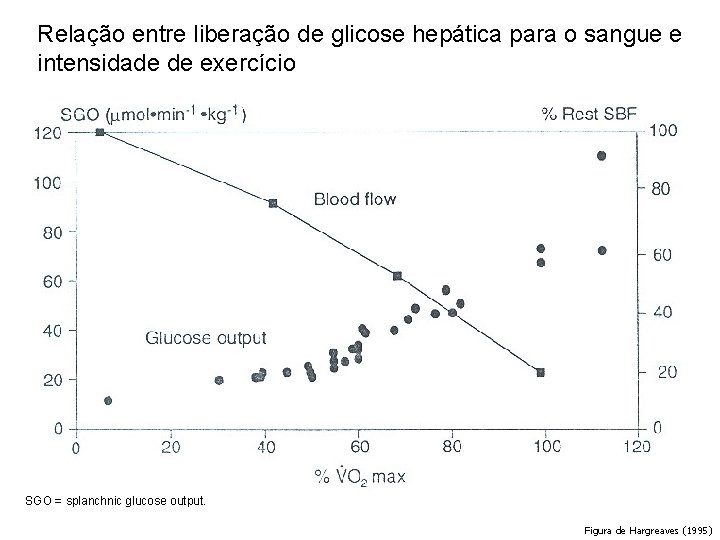 Relação entre liberação de glicose hepática para o sangue e intensidade de exercício SGO