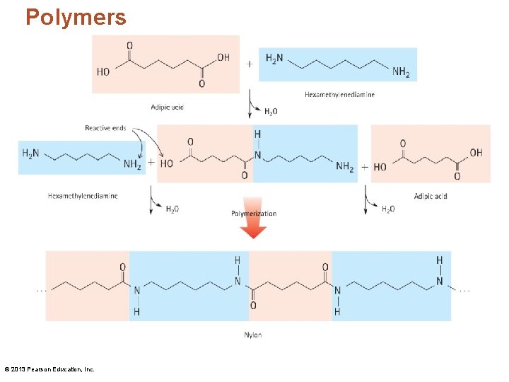 Polymers © 2013 Pearson Education, Inc. 