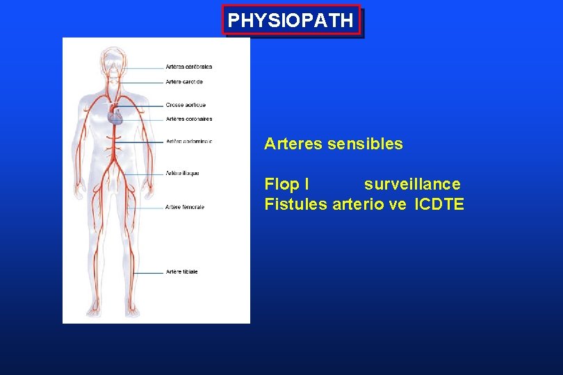 PHYSIOPATH Arteres sensibles Flop I surveillance Fistules arterio ve ICDTE 