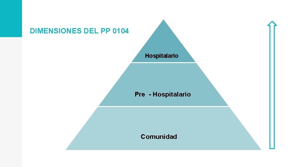 DIMENSIONES DEL PP 0104 Hospitalario Pre - Hospitalario Comunidad 