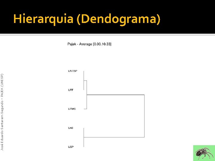 José Eduardo Santarem Segundo – PAJEK (UNESP) Hierarquia (Dendograma) José Eduardo Santarem Segundo – PAJEK (UNESP) Hierarquia (Dendograma)