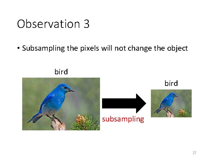 Observation 3 • Subsampling the pixels will not change the object bird subsampling 27