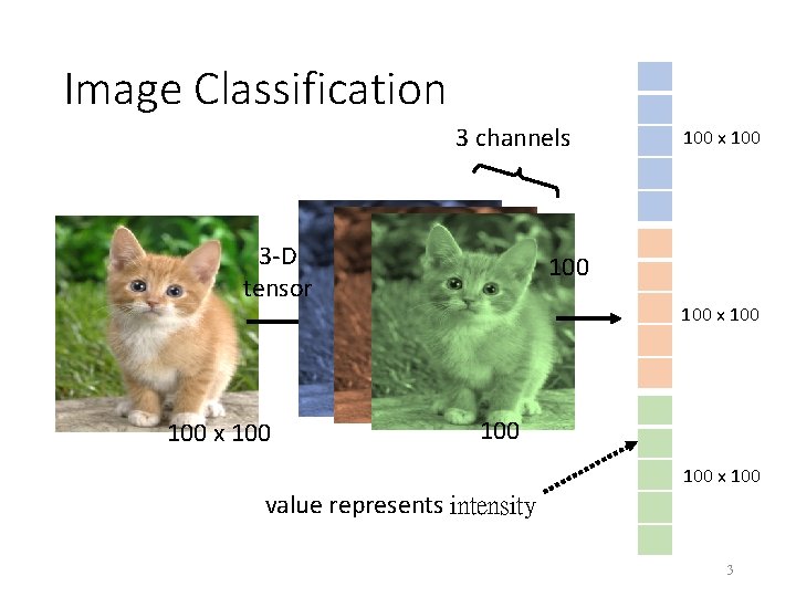 Image Classification 3 channels 3 -D tensor 100 x 100 100 100 x 100