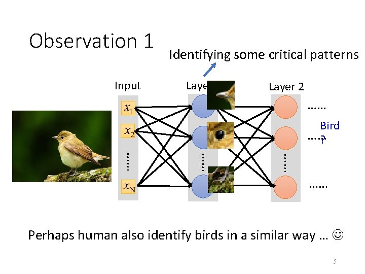 Observation 1 Input Identifying some critical patterns Layer 1 Layer 2 …… Bird ……?