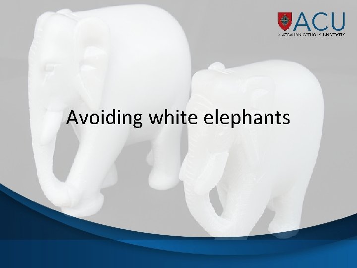 Avoiding white elephants 