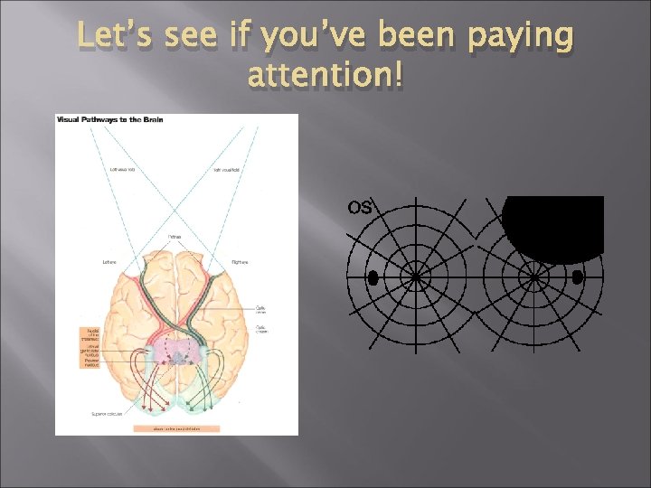 Let’s see if you’ve been paying attention! 