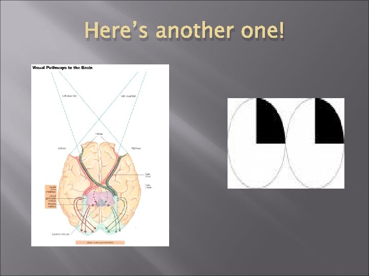 Here’s another one! 