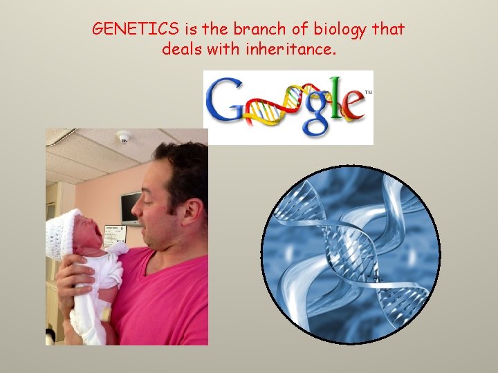 GENETICS is the branch of biology that deals with inheritance. 