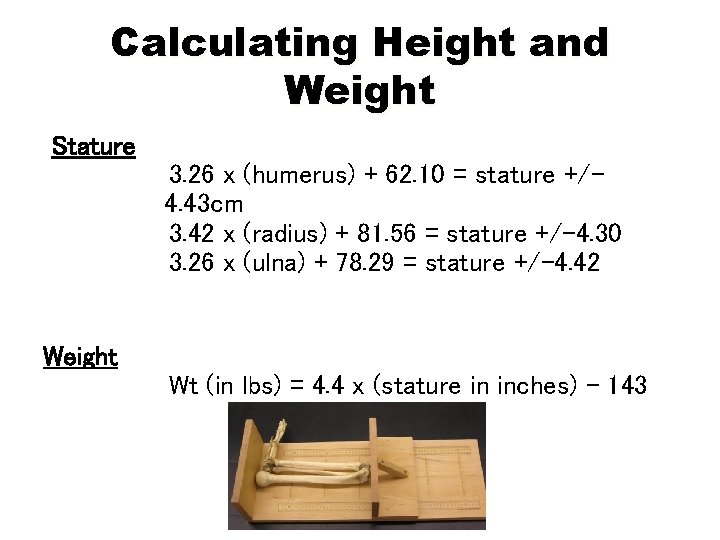 Calculating Height and Weight Stature 3. 26 x (humerus) + 62. 10 = stature