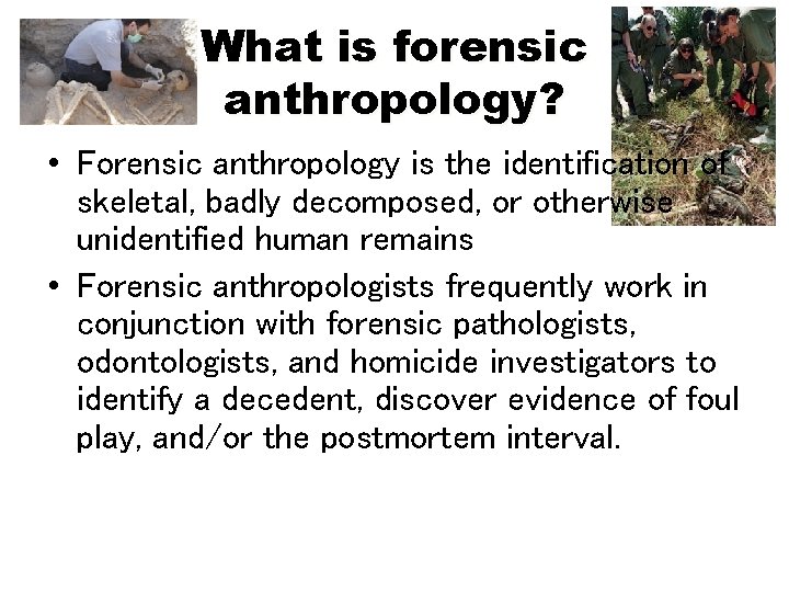 What is forensic anthropology? • Forensic anthropology is the identification of skeletal, badly decomposed,