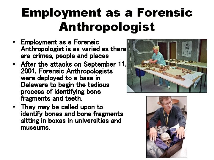 Employment as a Forensic Anthropologist • Employment as a Forensic Anthropologist is as varied