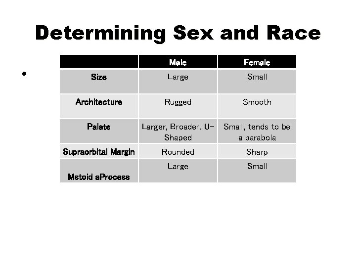 Determining Sex and Race • Male Female Size Large Small Architecture Rugged Smooth Palate