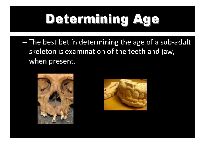 Determining Age – The best bet in determining the age of a sub-adult skeleton