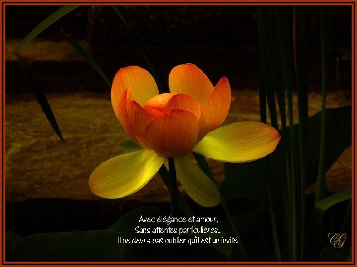 Avec élégance et amour, Sans attentes particulières. . . Il ne devra pas oublier