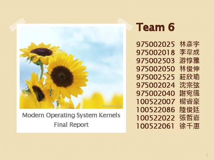Team 6 Modern Operating System Kernels Final Report 975002025 975002018 975002503 975002050 975002525 975002024