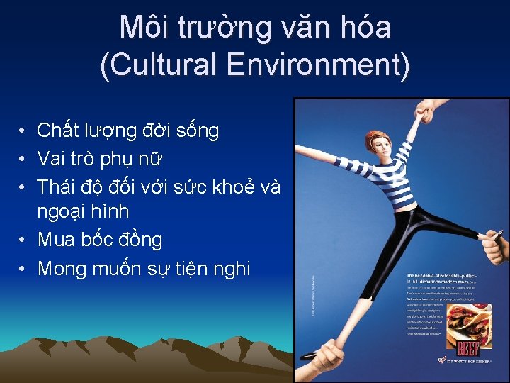 Môi trường văn hóa (Cultural Environment) • Chất lượng đời sống • Vai trò