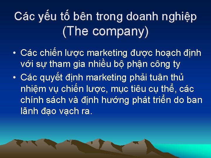 Các yếu tố bên trong doanh nghiệp (The company) • Các chiến lược marketing