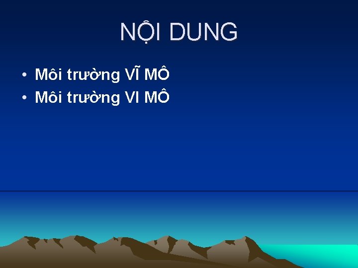 NỘI DUNG • Môi trường VĨ MÔ • Môi trường VI MÔ 