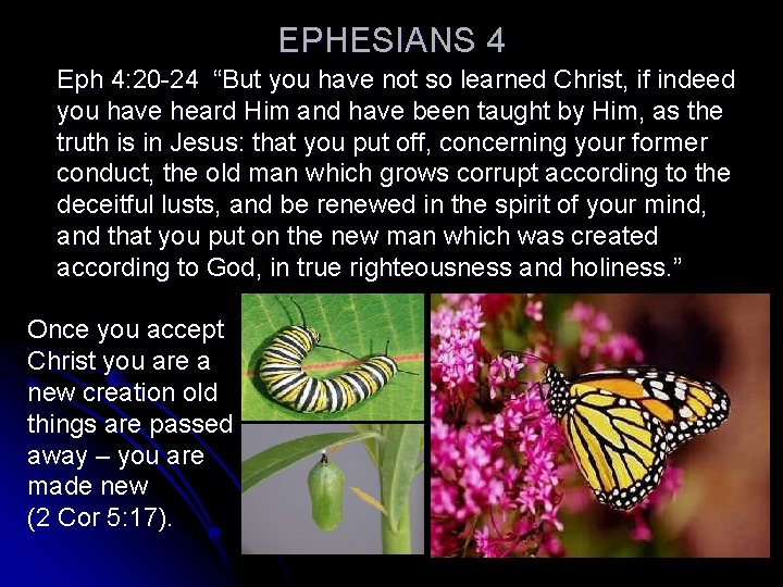 EPHESIANS 4 Eph 4: 20 -24 “But you have not so learned Christ, if