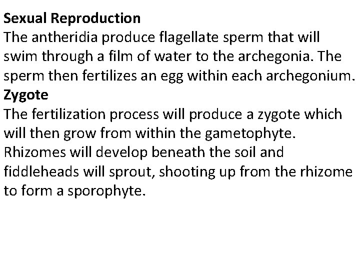 Sexual Reproduction The antheridia produce flagellate sperm that will swim through a film of