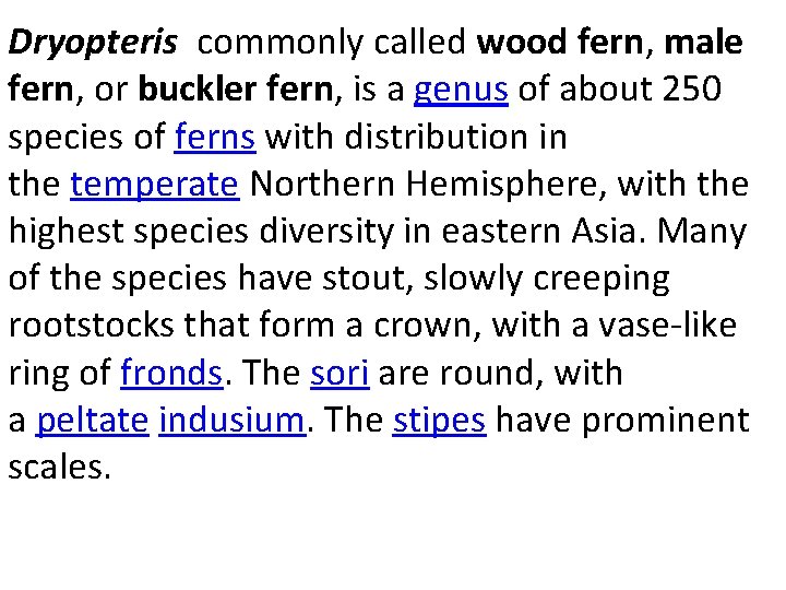 Dryopteris commonly called wood fern, male fern, or buckler fern, is a genus of