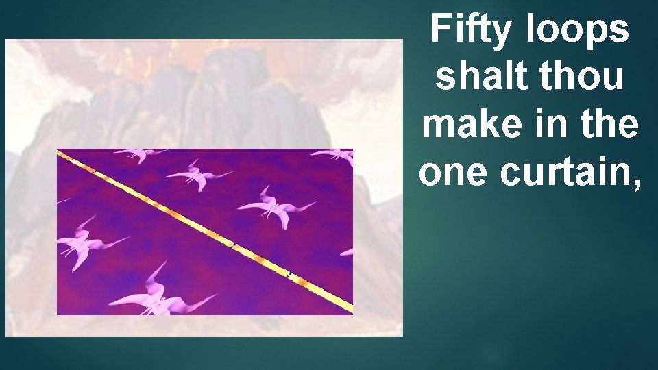 Fifty loops shalt thou make in the one curtain, 
