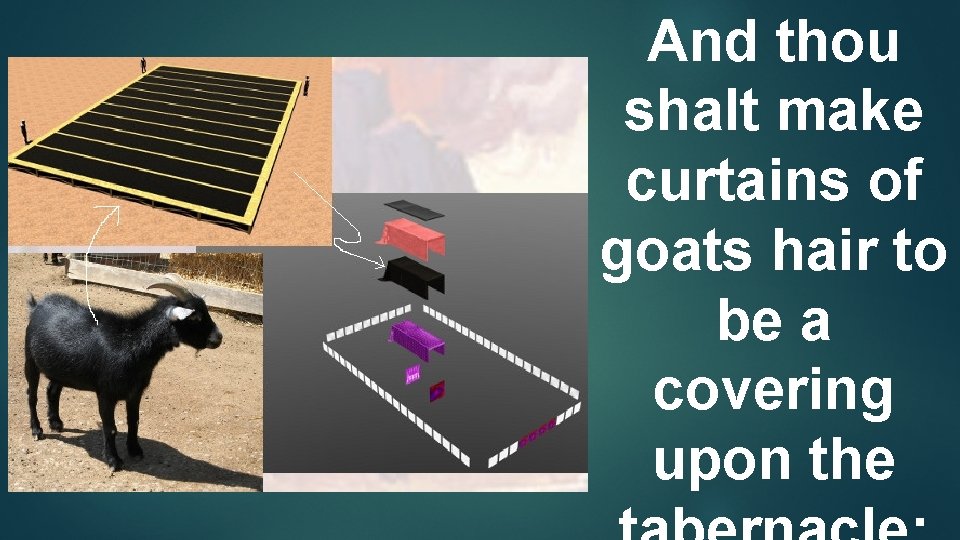 And thou shalt make curtains of goats hair to be a covering upon the