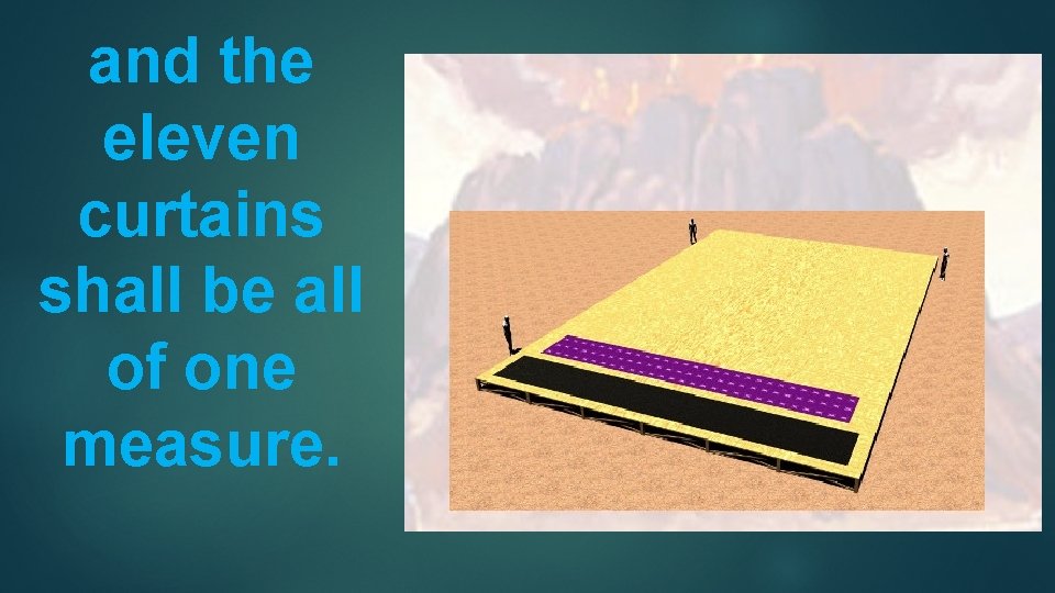 and the eleven curtains shall be all of one measure. 