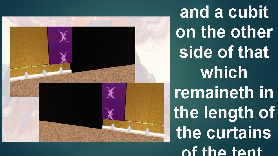 and a cubit on the other side of that which remaineth in the length