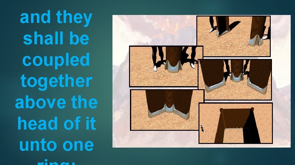 and they shall be coupled together above the head of it unto one 