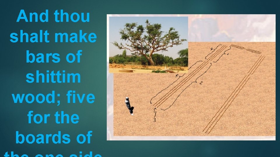 And thou shalt make bars of shittim wood; ﬁve for the boards of 