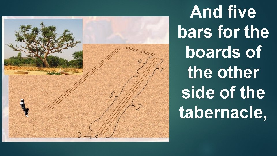 And ﬁve bars for the boards of the other side of the tabernacle, 