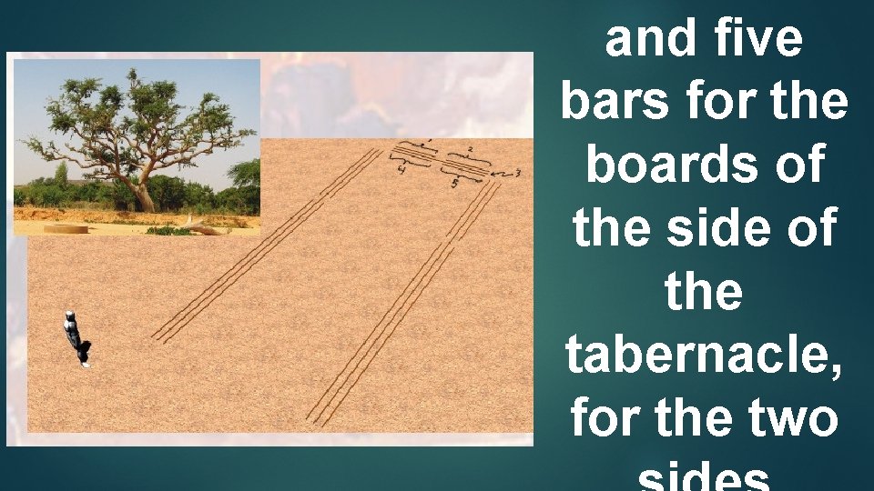 and ﬁve bars for the boards of the side of the tabernacle, for the