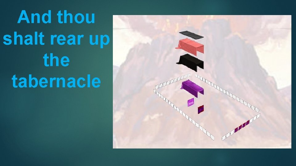 And thou shalt rear up the tabernacle 