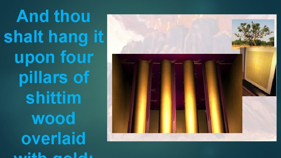 And thou shalt hang it upon four pillars of shittim wood overlaid 