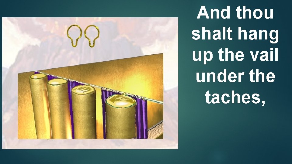 And thou shalt hang up the vail under the taches, 