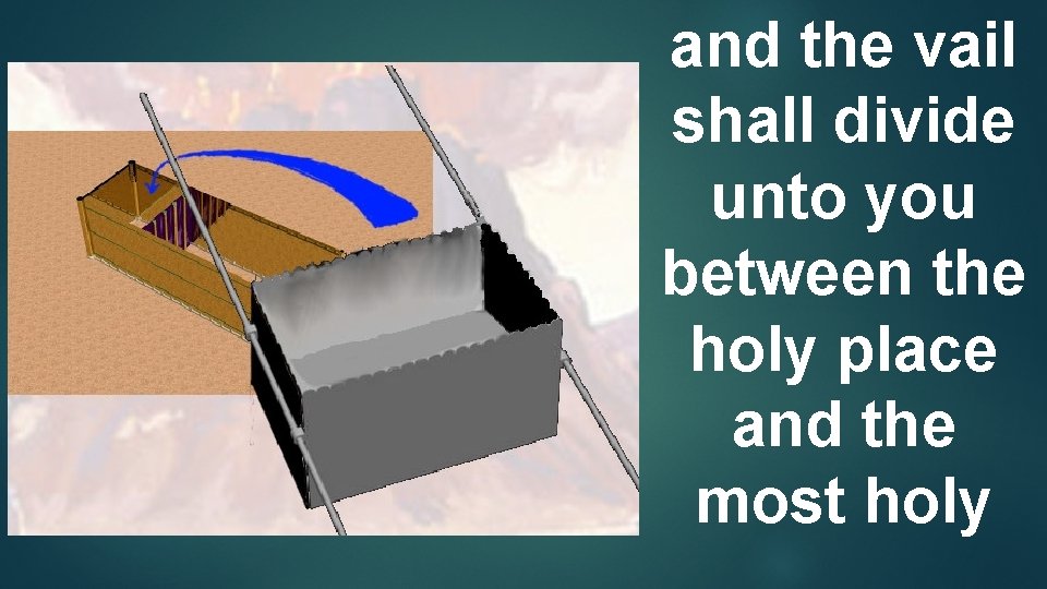 and the vail shall divide unto you between the holy place and the most