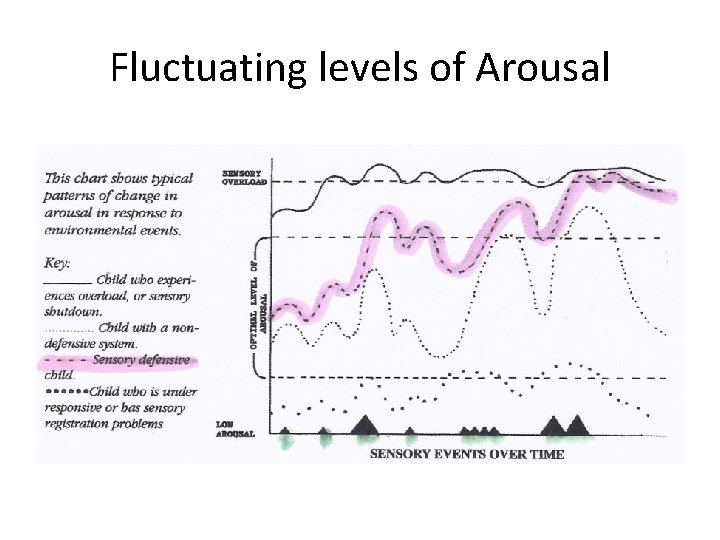 Fluctuating levels of Arousal 