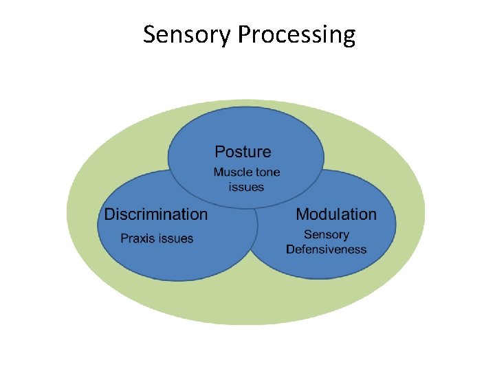 Sensory Processing 