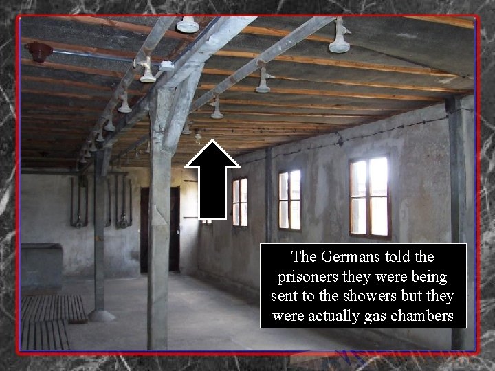 The Germans told the prisoners they were being sent to the showers but they