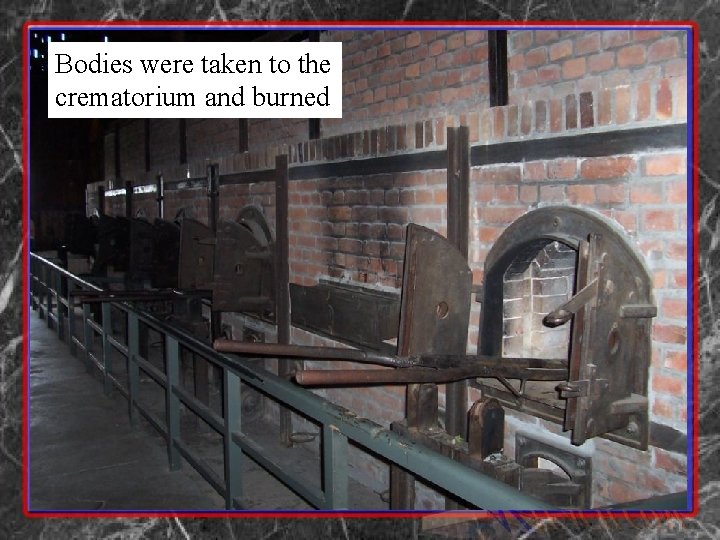 Bodies were taken to the crematorium and burned 