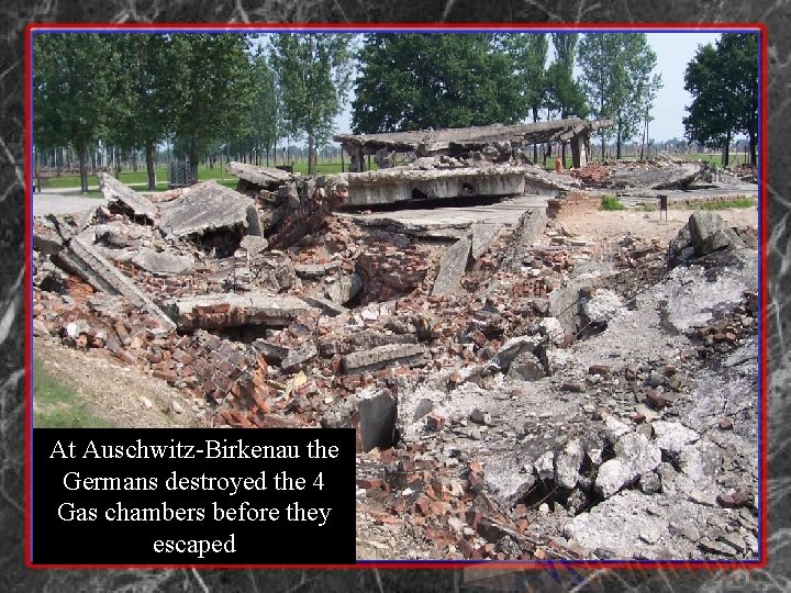 At Auschwitz-Birkenau the Germans destroyed the 4 Gas chambers before they escaped 